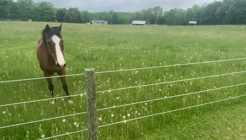 Horse'n Around Acres