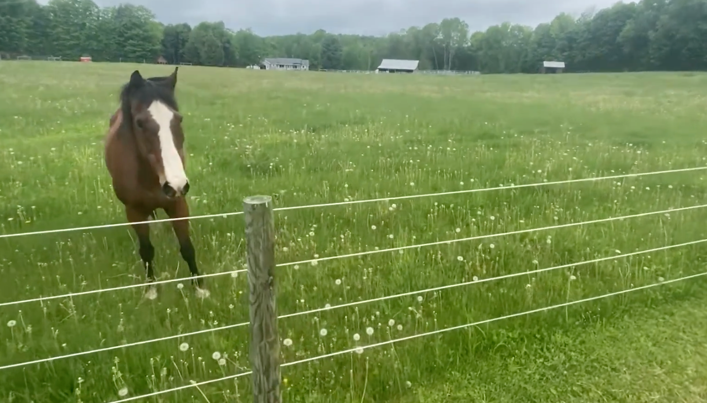 Horse'n Around Acres