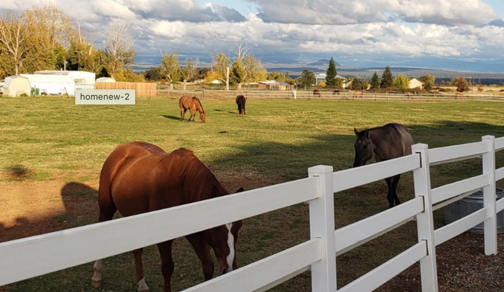 NorCal Riding Stables