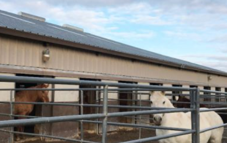 NorCal Riding Stables