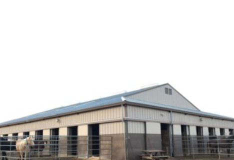 
                      
                        NorCal Riding Stables
                      
                    