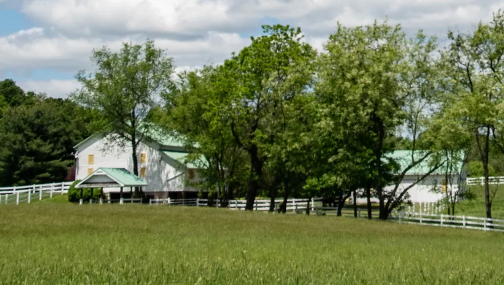 
                      
                        Sun and Cricket Bed & Breakfast
                      
                    