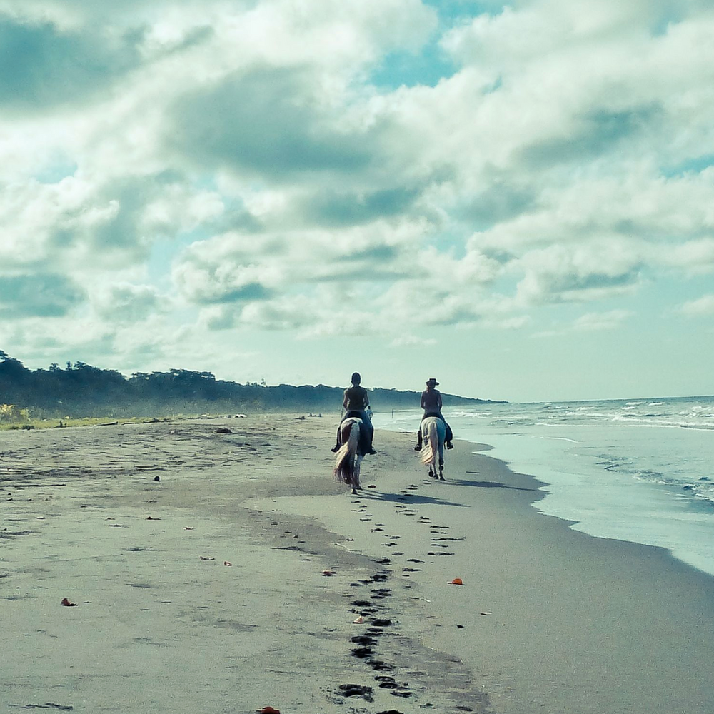 
                      
                        Happy Trails San Diego
                      
                    