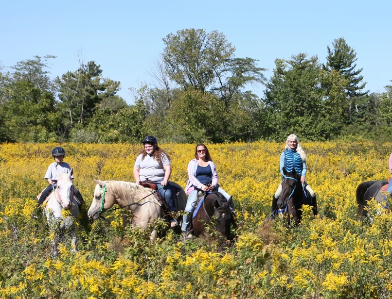 Blue Horseshoe Farm
