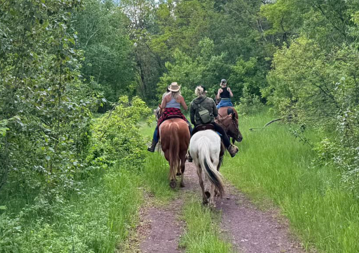 Heritage Hills Horseback Riding