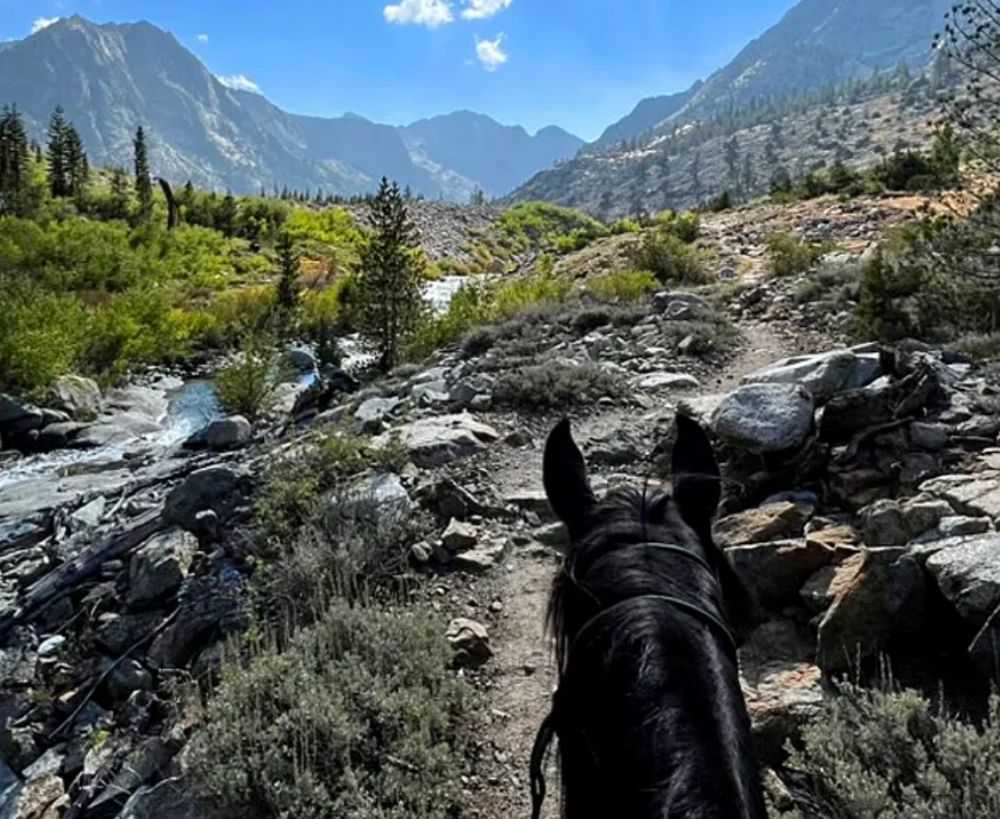 John Muir Trail: Pack Trips