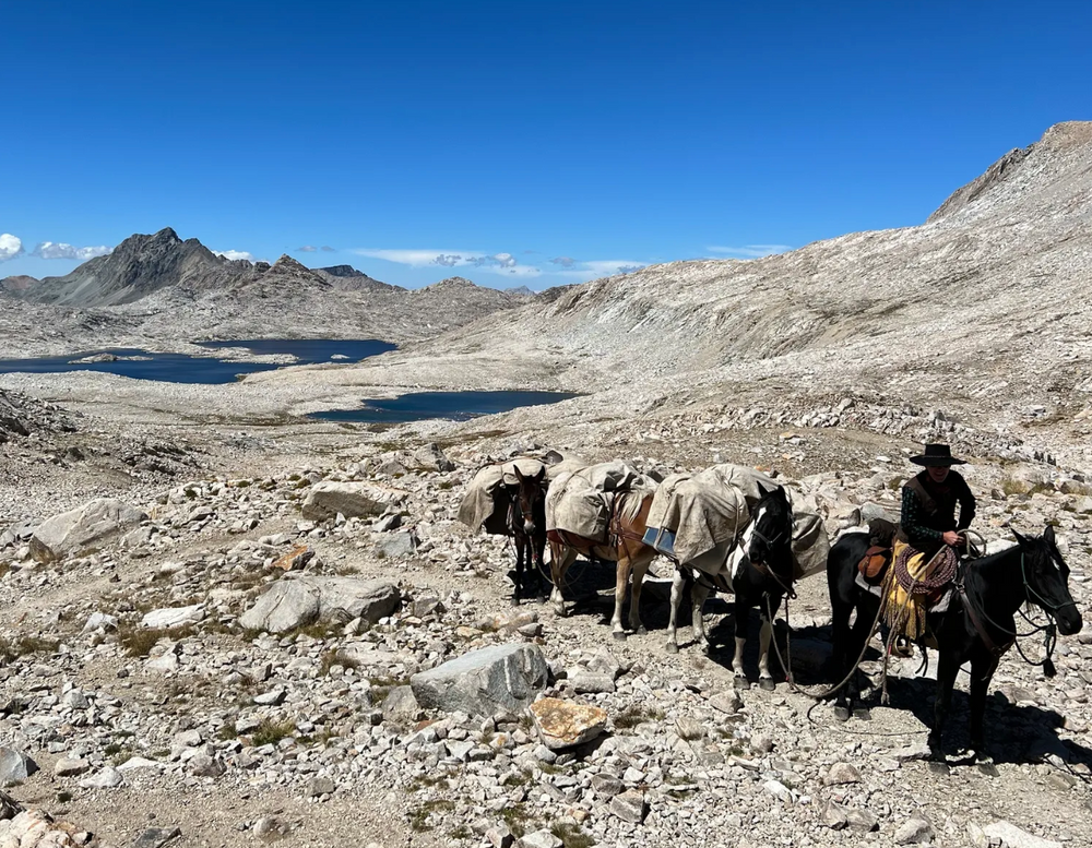 
                      
                        John Muir Trail: Pack Trips
                      
                    