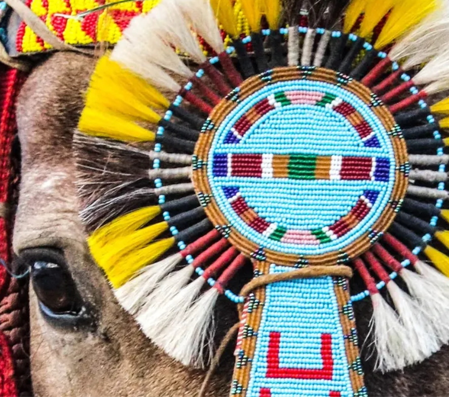 Chief Joseph Trail Ride: