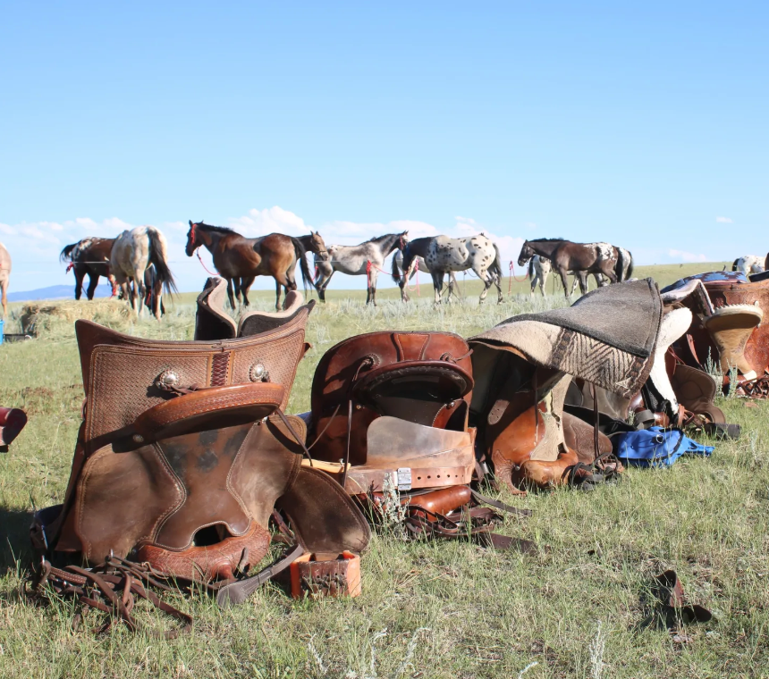Chief Joseph Trail Ride: