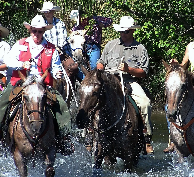 
                      
                        Chief Joseph Trail Ride:
                      
                    