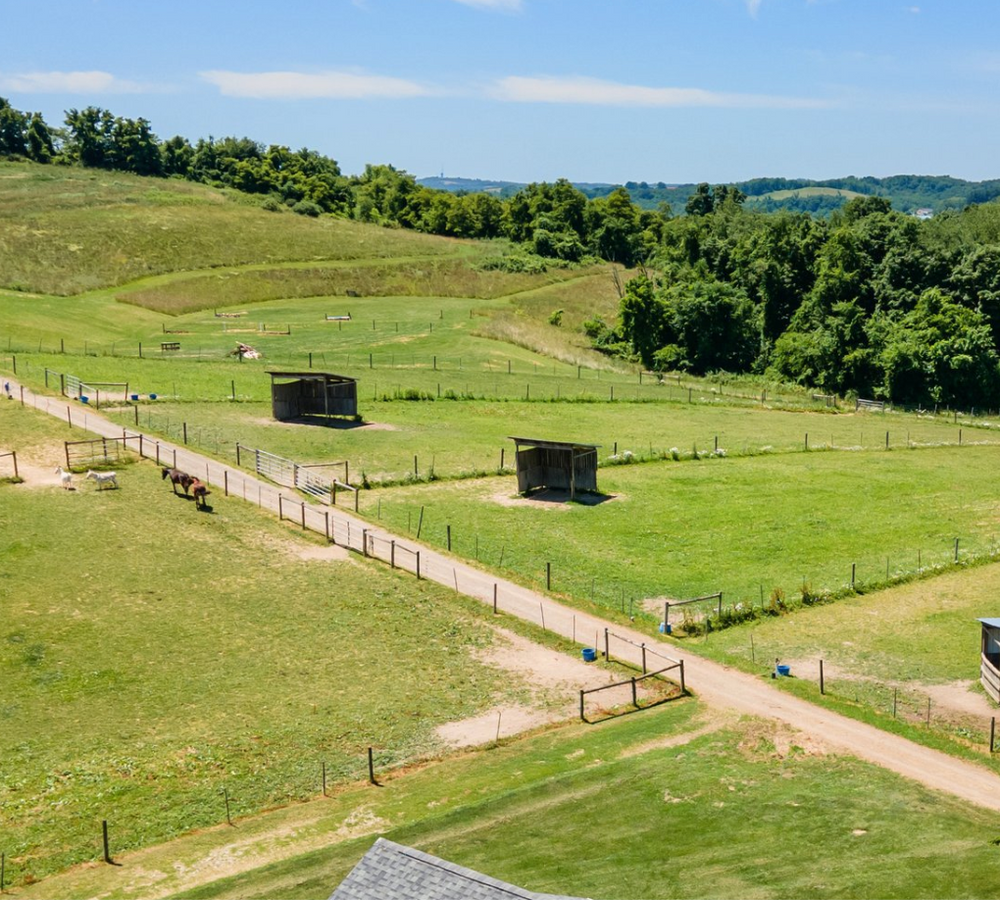 
                      
                        Shadow Ridge Stables
                      
                    