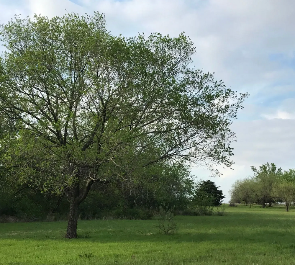 Woods Creek Ranch