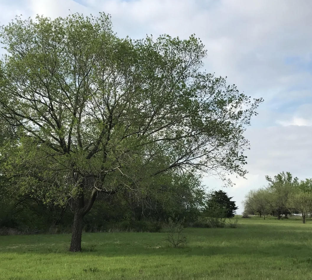 Woods Creek Ranch