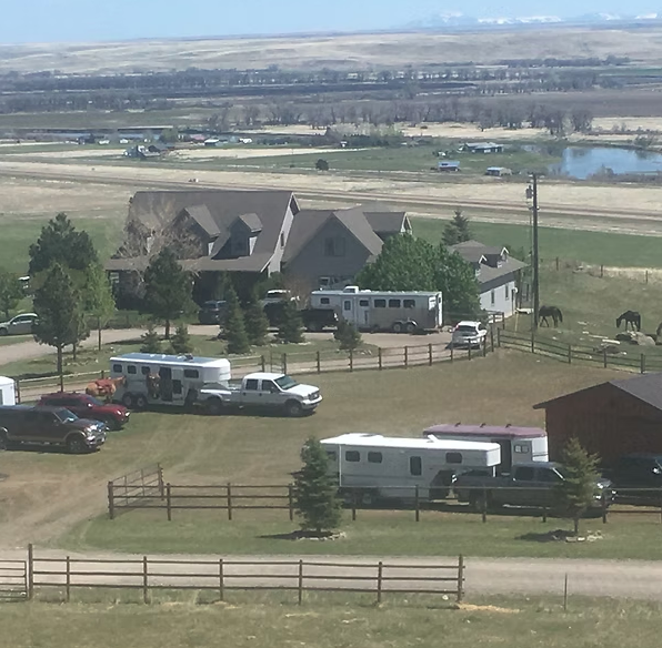 The Paard Yard