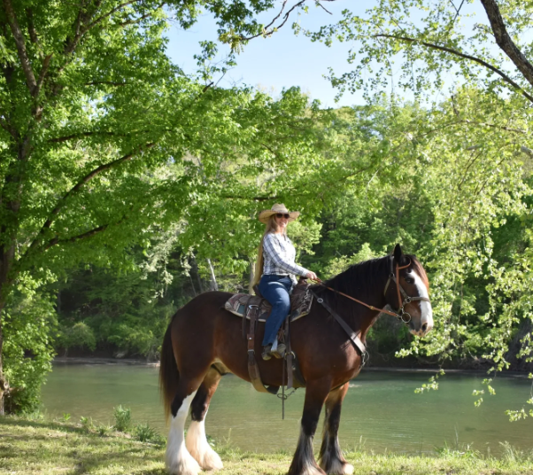 Clydesdale Experience and Campgrounds