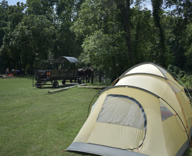 
                      
                        Clydesdale Experience and Campgrounds
                      
                    
