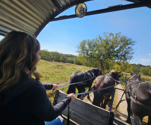 
                      
                        Clydesdale Experience and Campgrounds
                      
                    