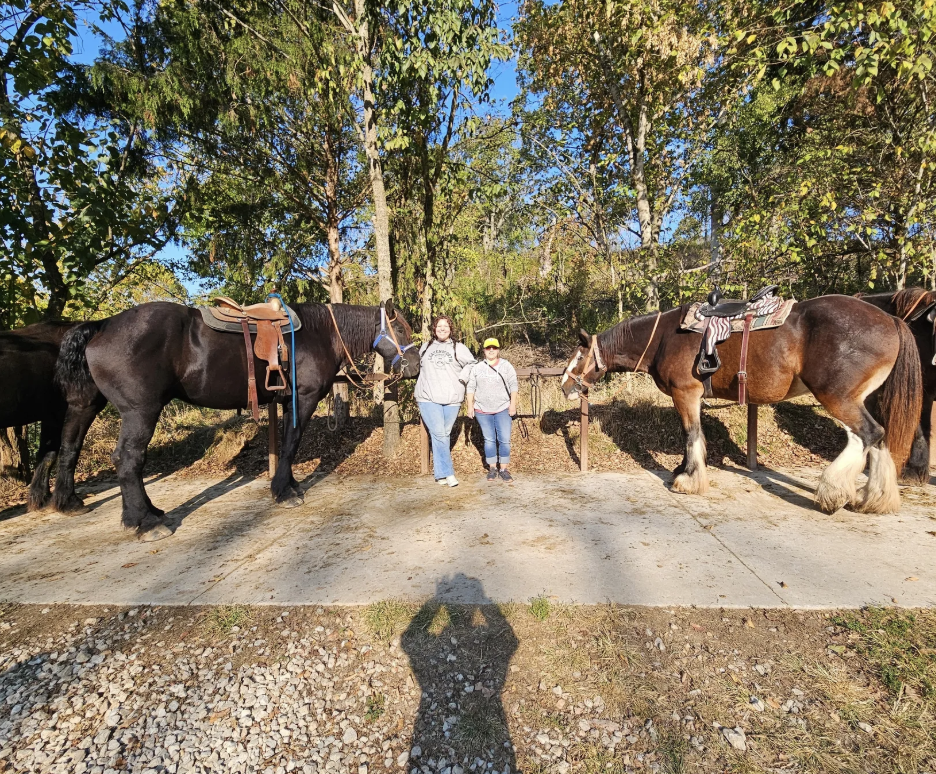
                      
                        Clydesdale Experience and Campgrounds
                      
                    