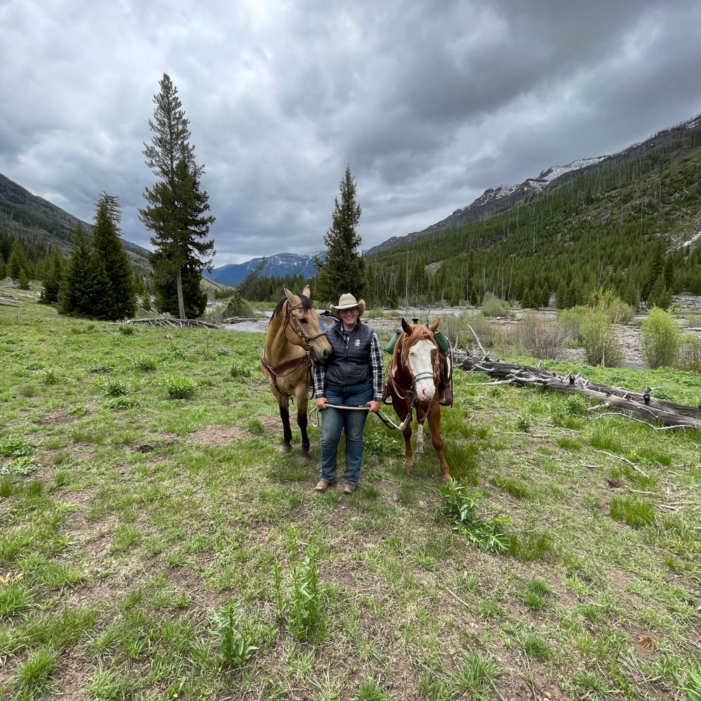 
                      
                        Holiday Hilltop Ranch
                      
                    