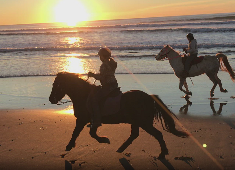 Crazy Horse Hotel: Oregon Coast