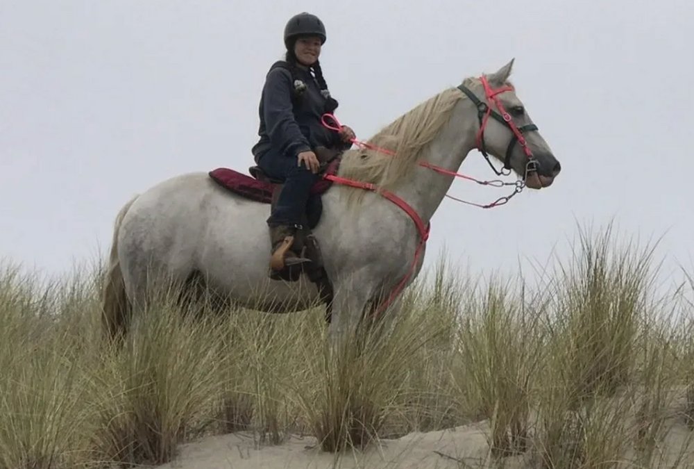
                      
                        Crazy Horse Hotel: Oregon Coast
                      
                    