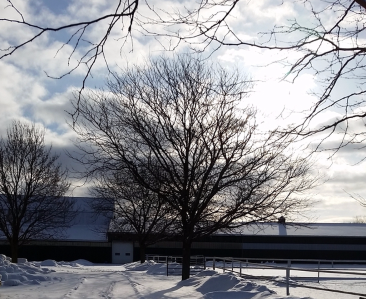 Horse Heaven Stables