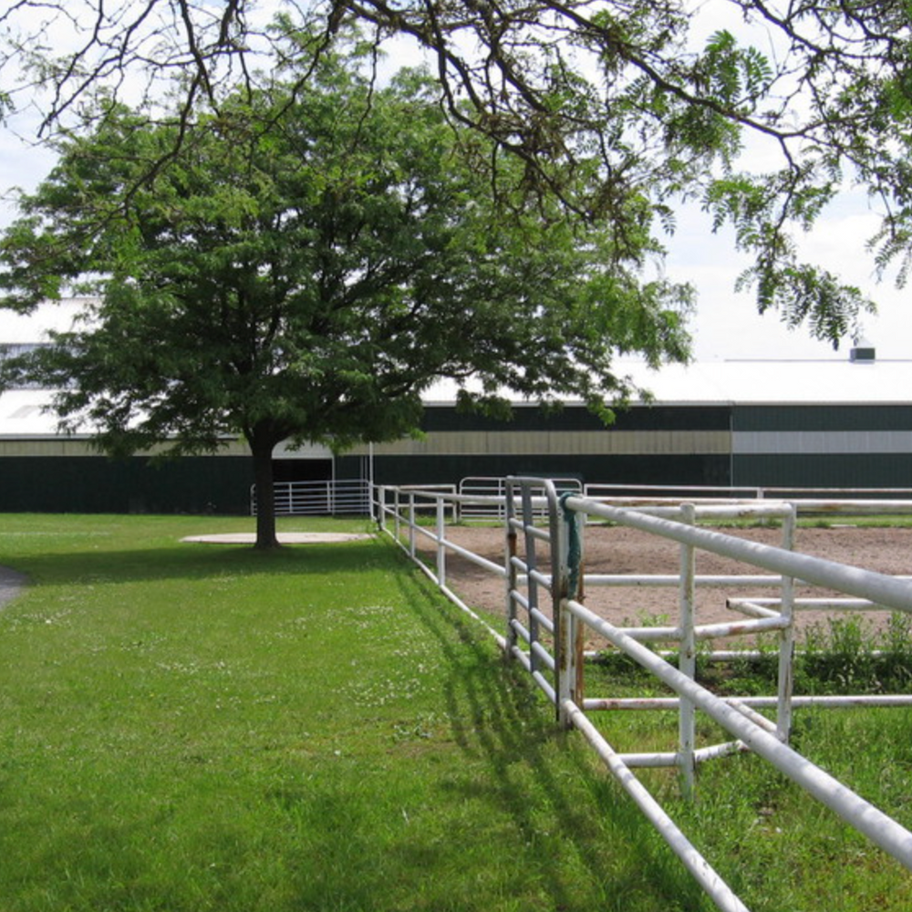 
                      
                        Horse Heaven Stables
                      
                    