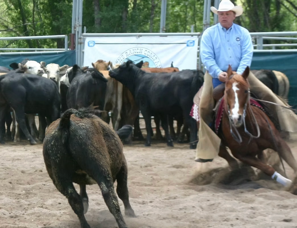 
                      
                        Wiens Ranch
                      
                    