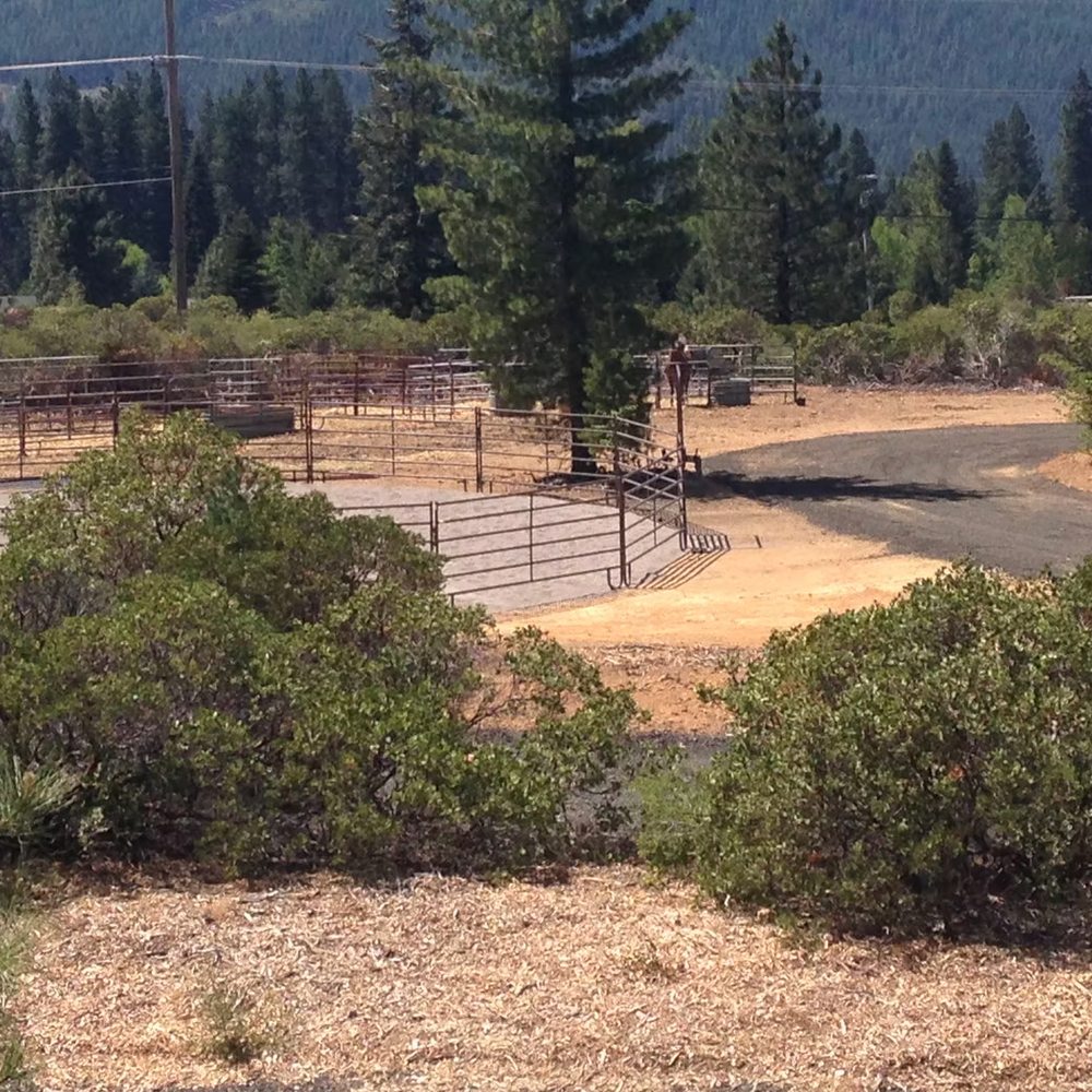 VS Equine / Iron Horse Event Center