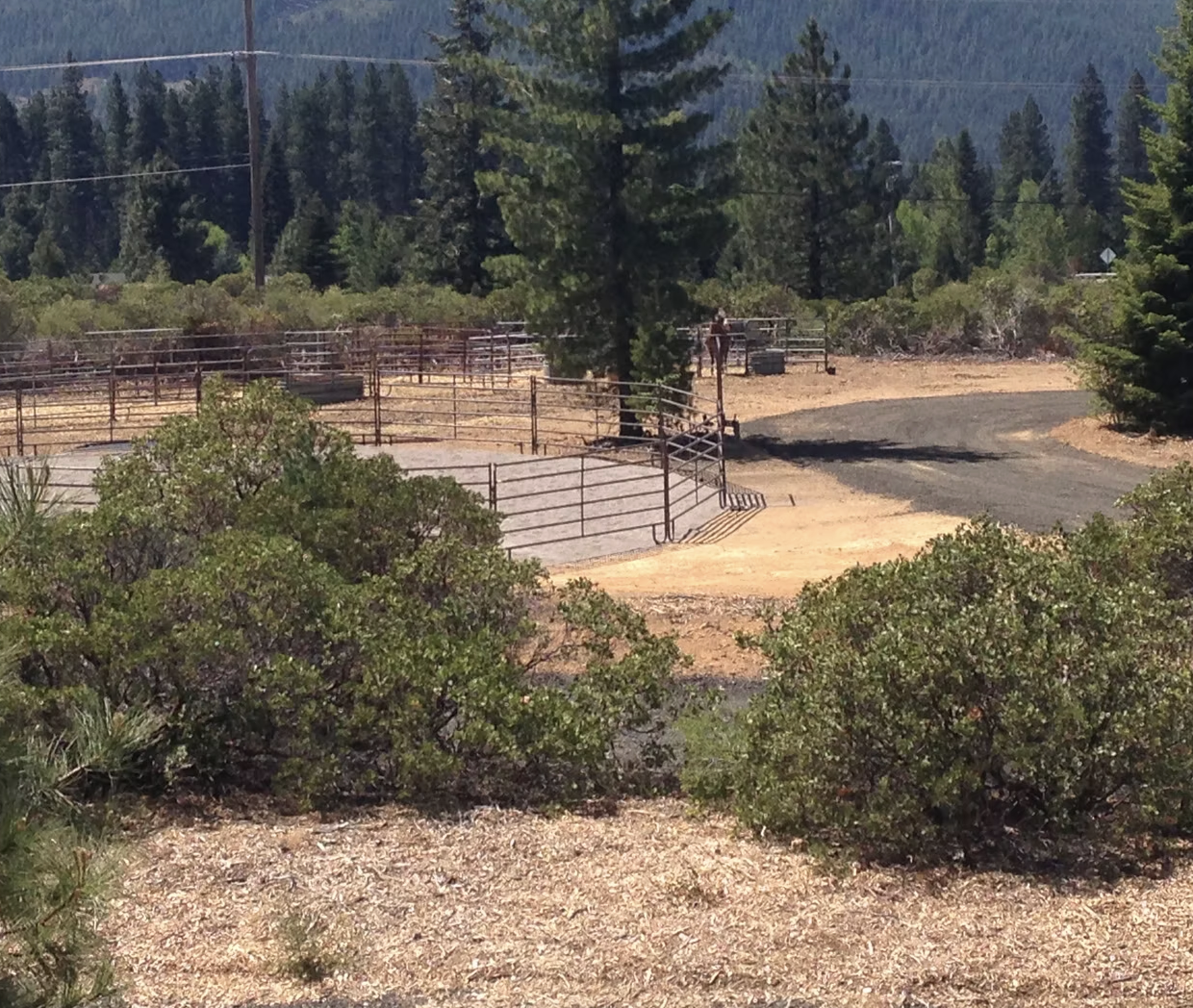 VS Equine / Iron Horse Event Center