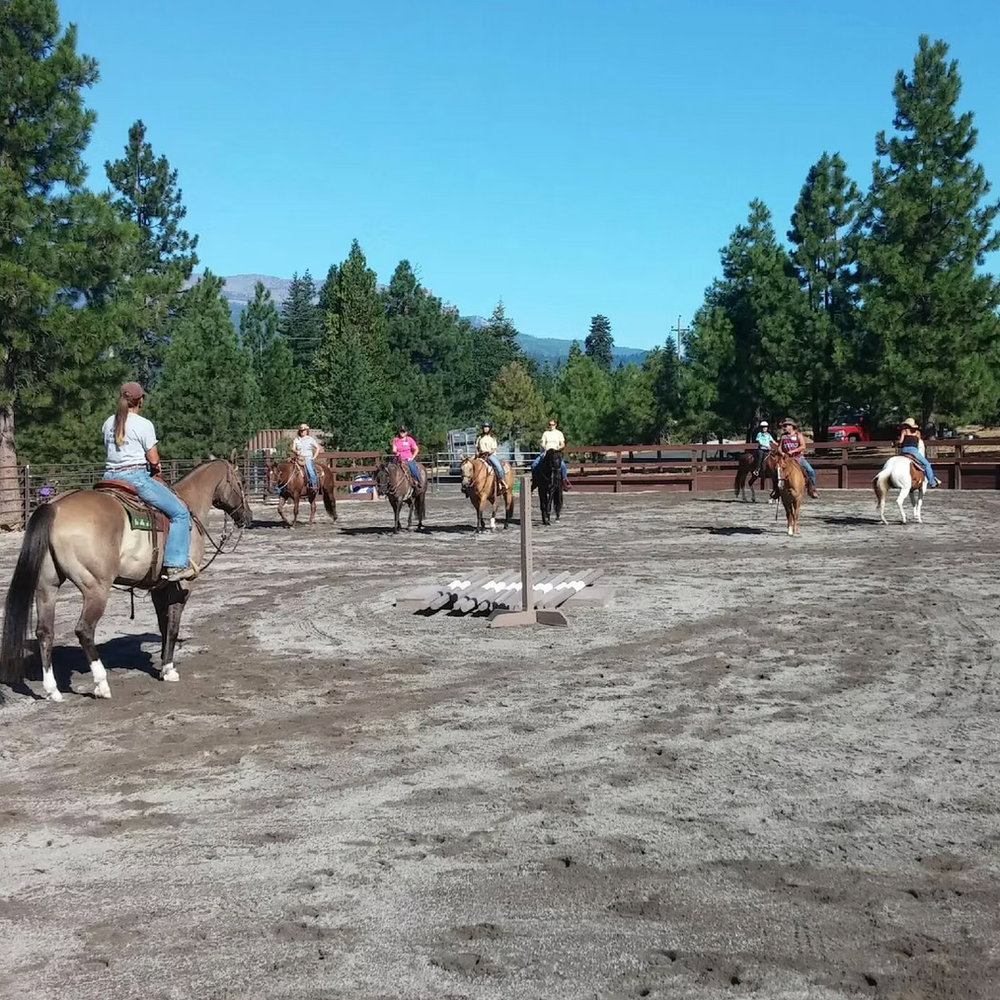 
                      
                        VS Equine / Iron Horse Event Center
                      
                    