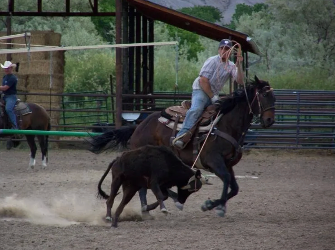 Equine Motel - Box T Ranch