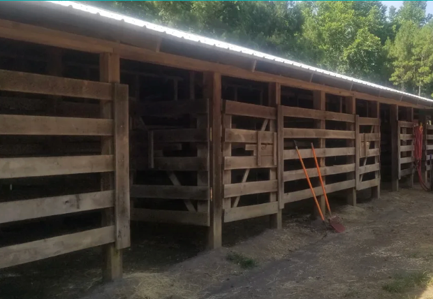 
                      
                        Falling Water Horse Camp
                      
                    