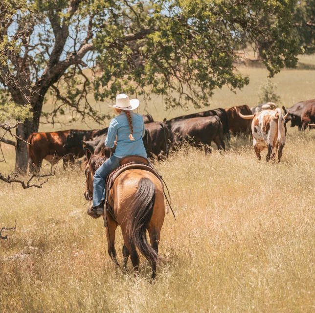 V6 Ranch