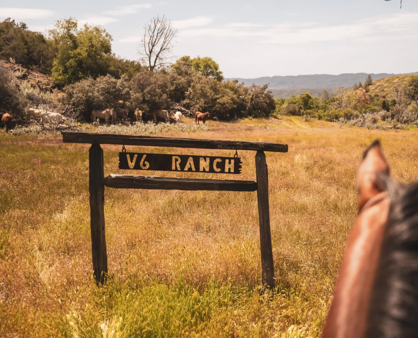 V6 Ranch