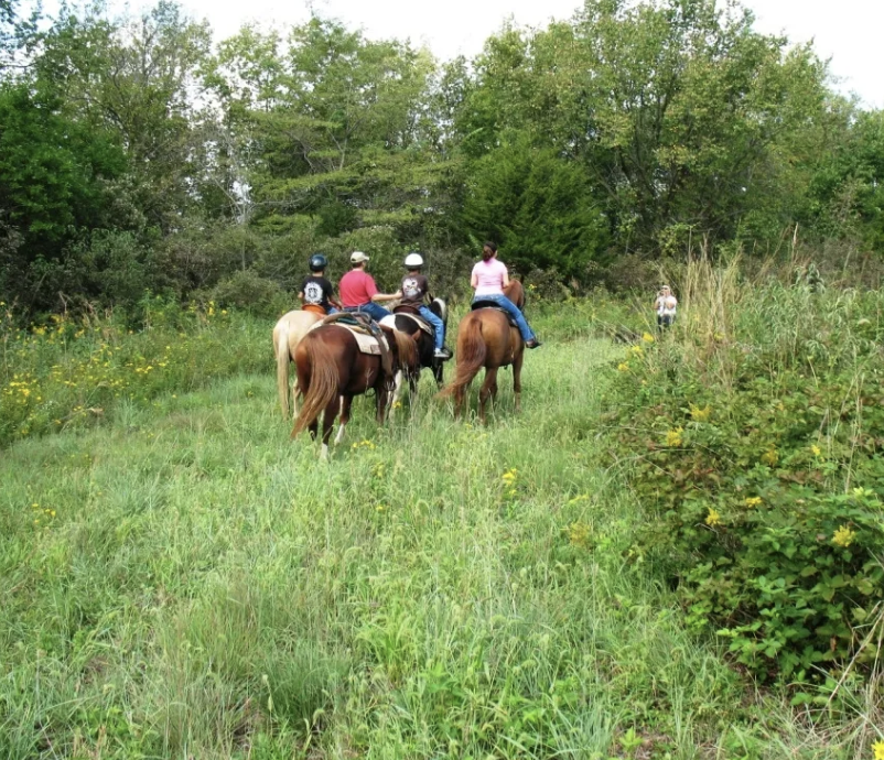 
                      
                        Lazy B Ranch - KS
                      
                    