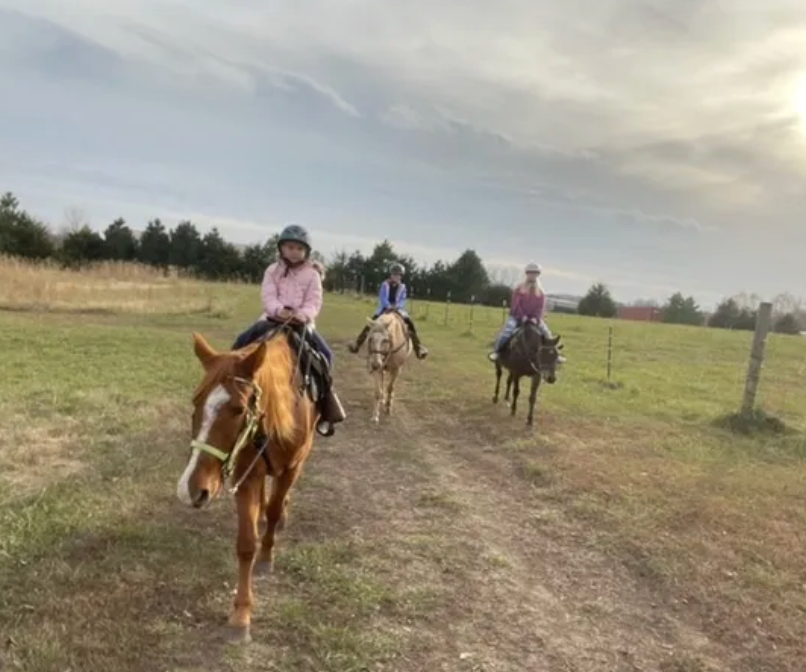 
                      
                        Lazy B Ranch - KS
                      
                    