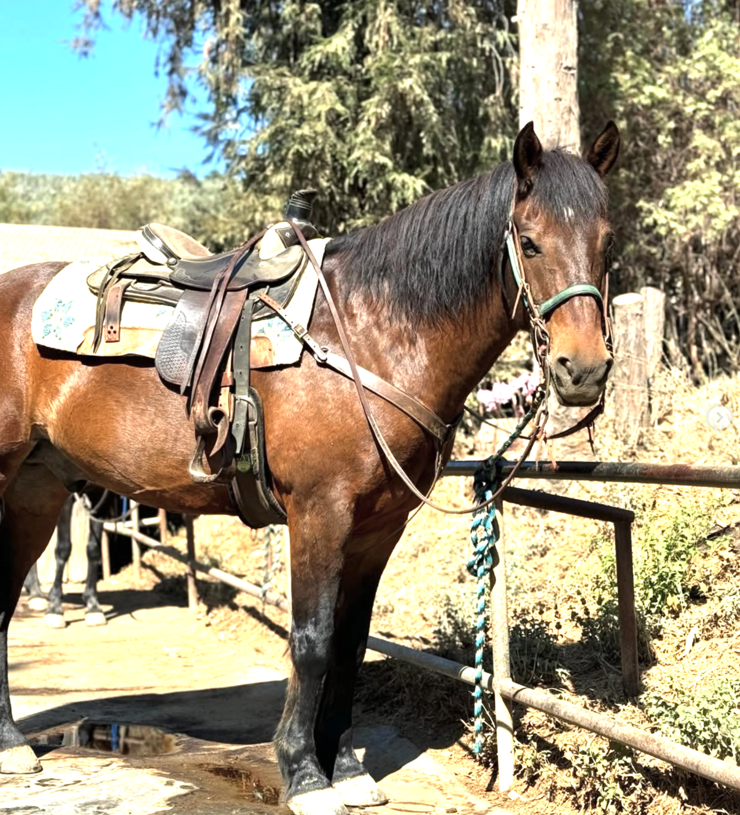 Garrod Farms