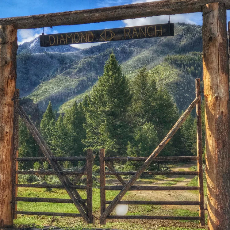 
                      
                        Diamond D Ranch - Idaho
                      
                    