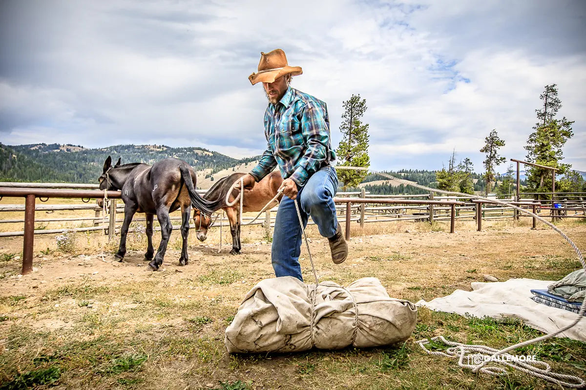Turpin Meadow Ranch - Moran, WY