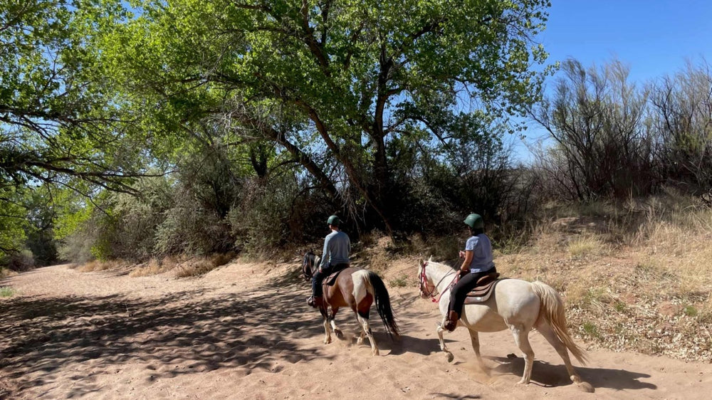 Galisteo Creek Stables Trail Riding