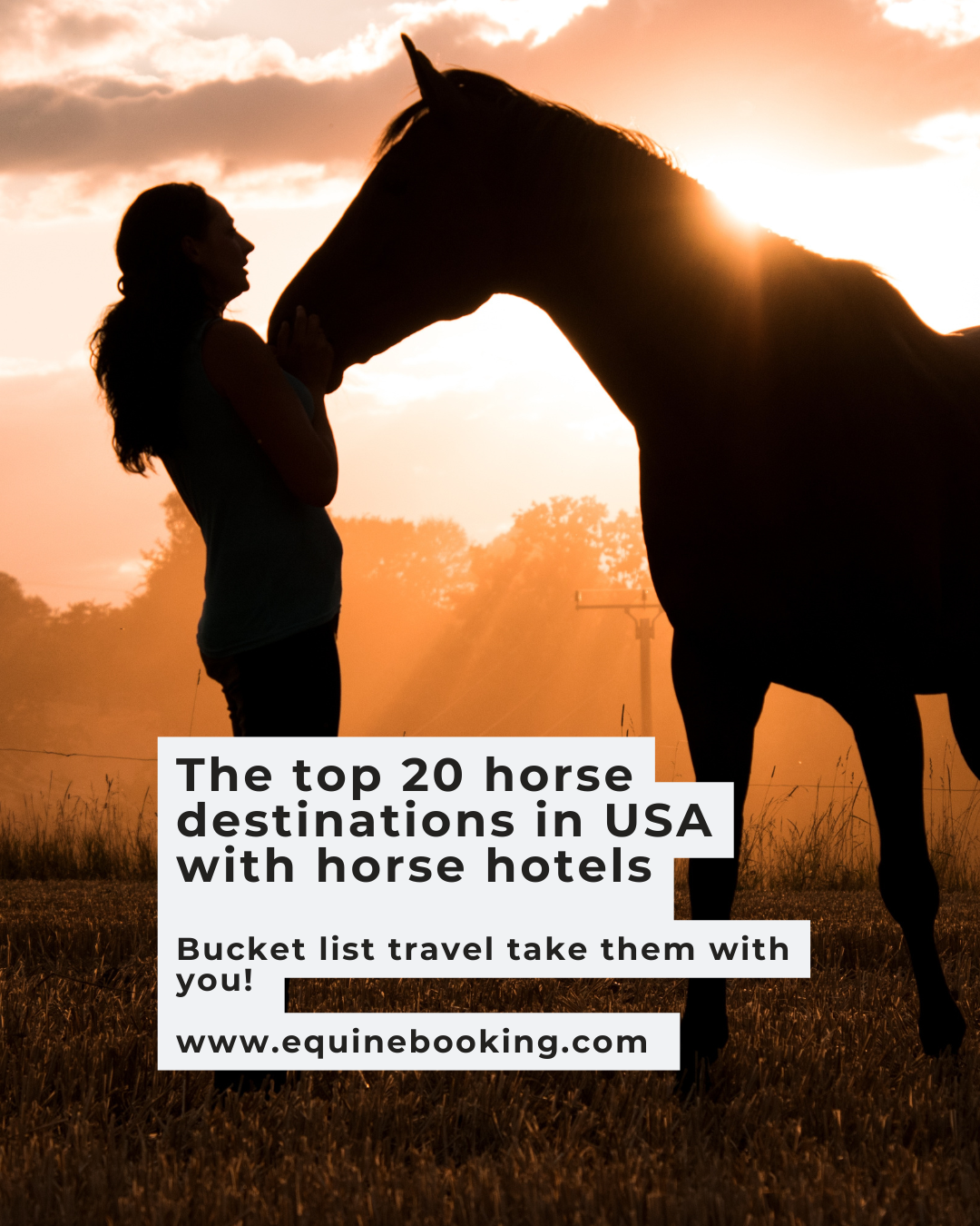 Top 20 horse travel destinations