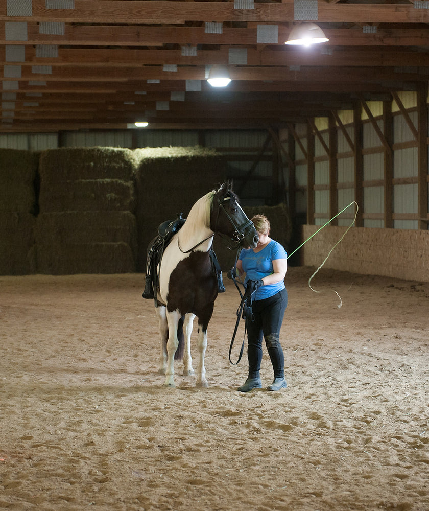 
                      
                        Victory Reigns Ranch Horse Hotel
                      
                    