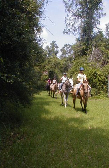 Equestrian Quest Stables