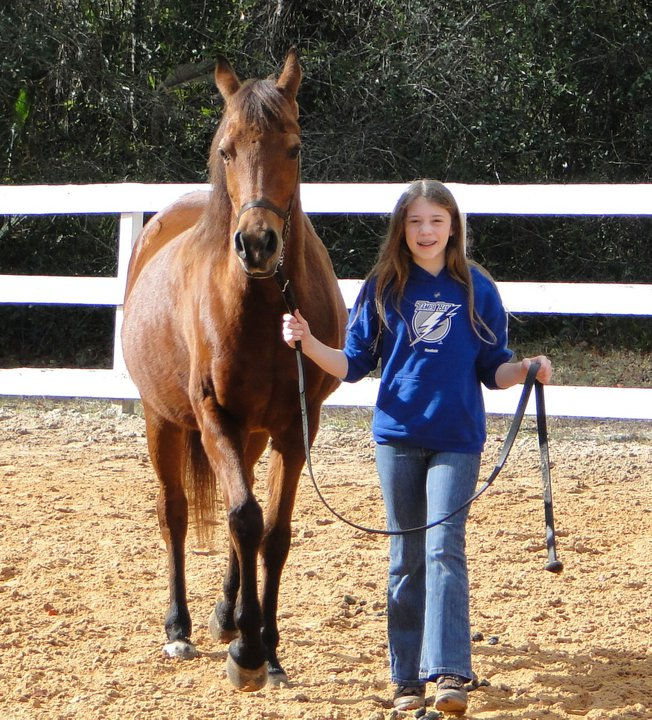 EquineBooking.com
