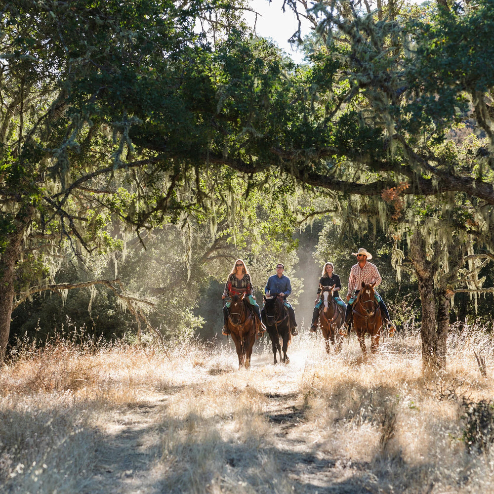 Central Coast Trailrides