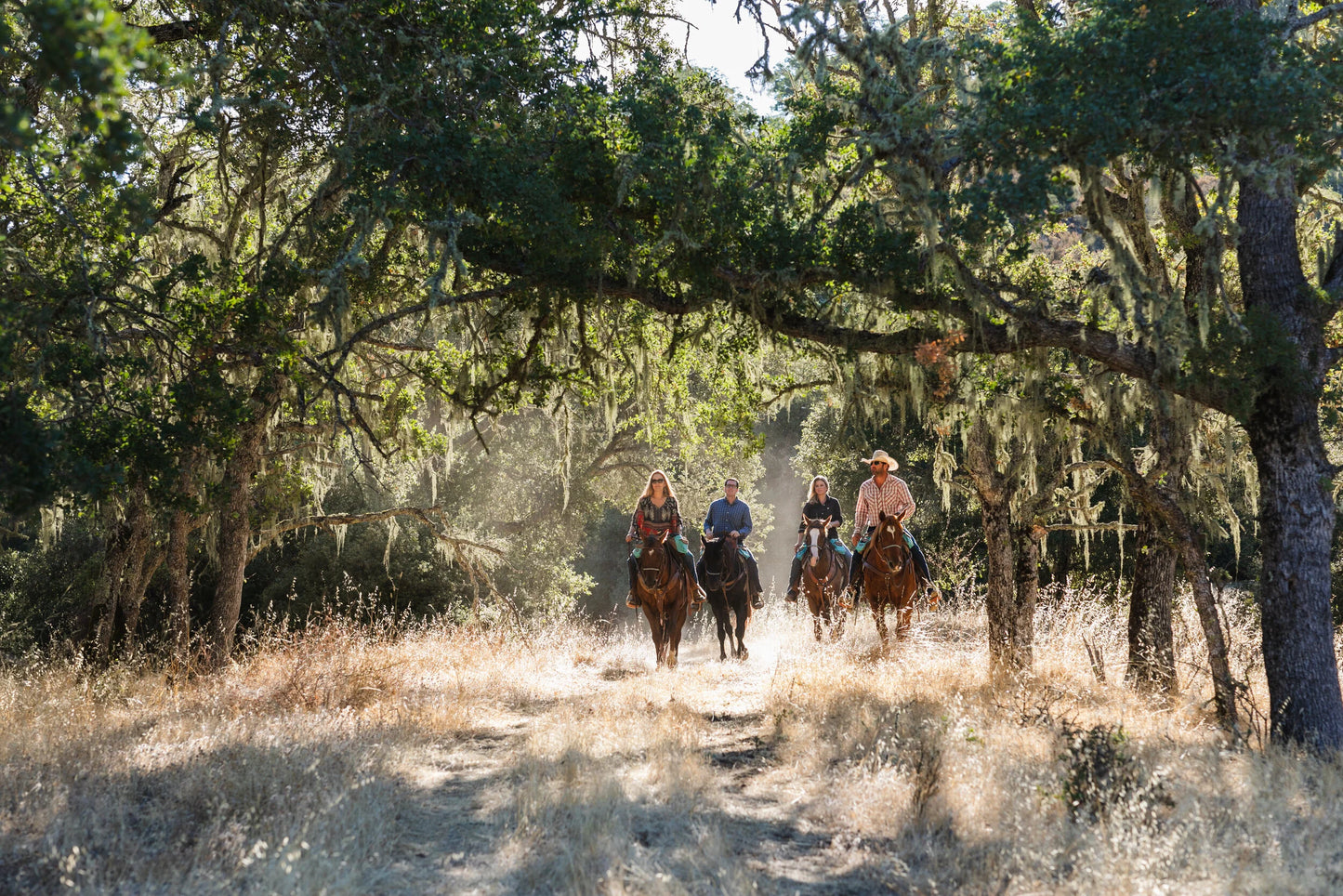 Central Coast Trailrides