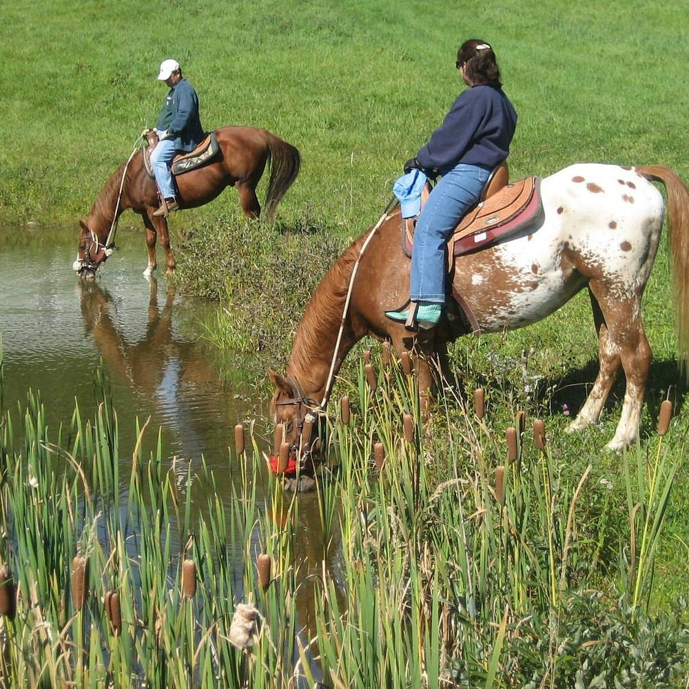 Adventure Horse Riding in NYS