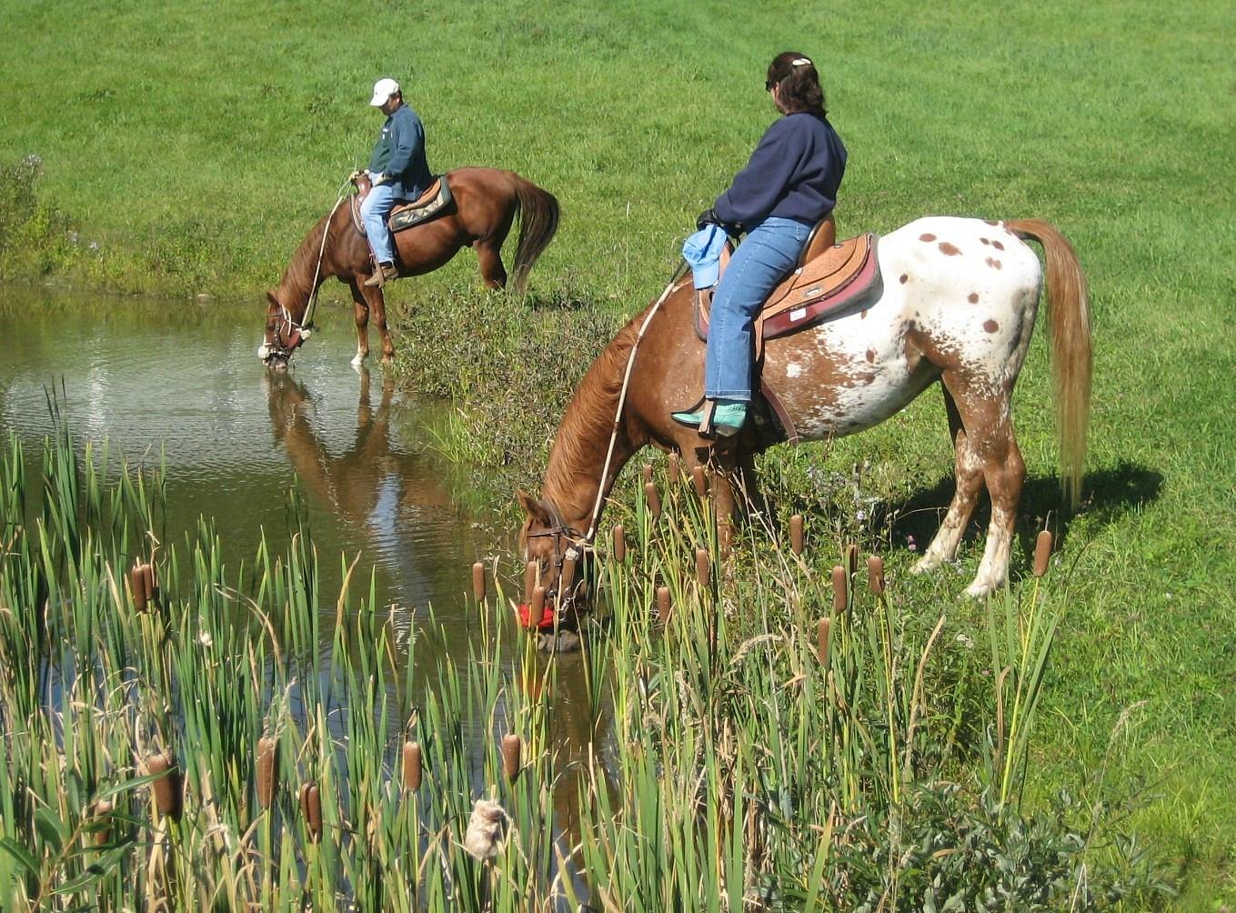Adventure Horse Riding in NYS