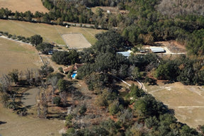 Wellborn Quarter Horses